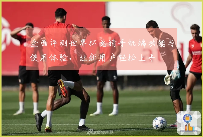 全面评测世界杯竞猜手机端功能与使用体验,让新用户轻松上手