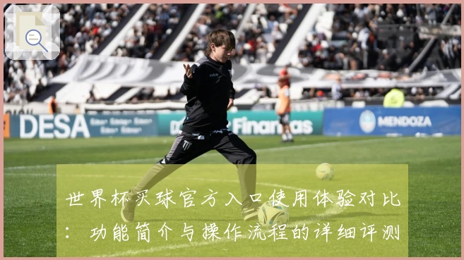 世界杯买球官方入口使用体验对比：功能简介与操作流程的详细评测