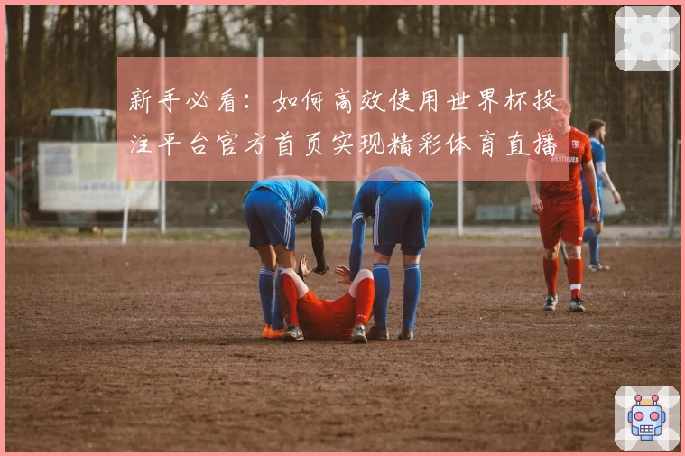新手必看：如何高效使用世界杯投注平台官方首页实现精彩体育直播体验