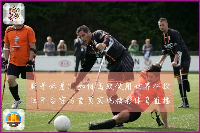 新手必看：如何高效使用世界杯投注平台官方首页实现精彩体育直播体验