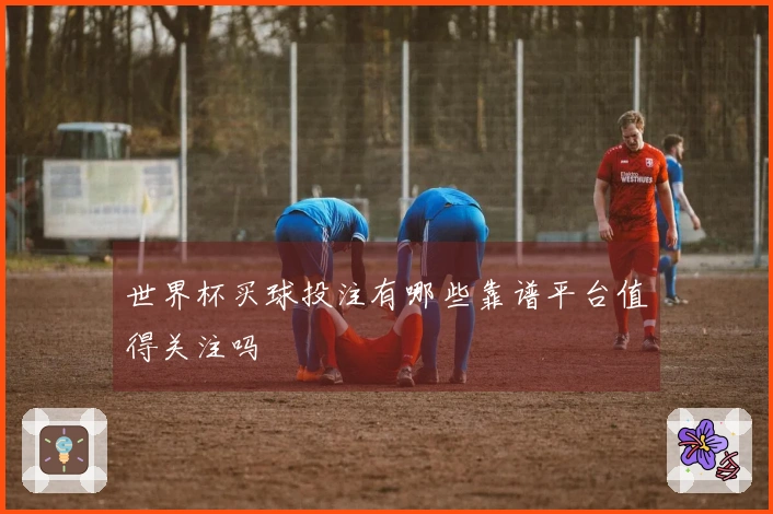 世界杯买球投注有哪些靠谱平台值得关注吗