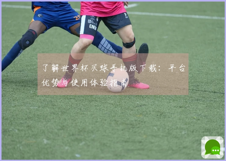 了解世界杯买球手机版下载:平台优势与使用体验指南