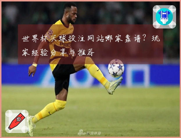 世界杯买球投注网站哪家靠谱？玩家经验分享与推荐