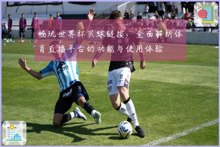 畅玩世界杯买球链接，全面解析体育直播平台的功能与使用体验