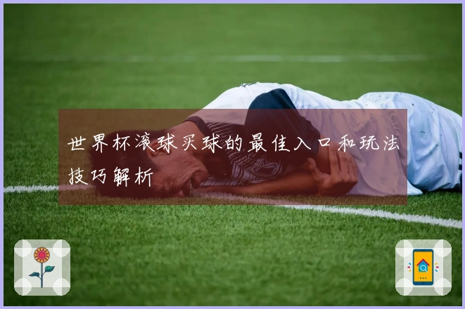世界杯滚球买球的最佳入口和玩法技巧解析