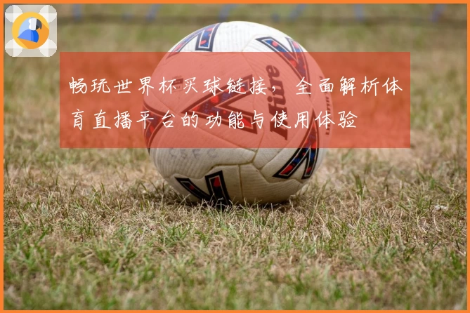 畅玩世界杯买球链接，全面解析体育直播平台的功能与使用体验